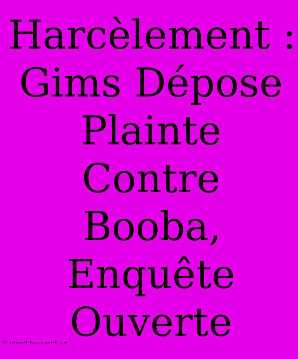 Harcèlement : Gims Dépose Plainte Contre Booba, Enquête Ouverte