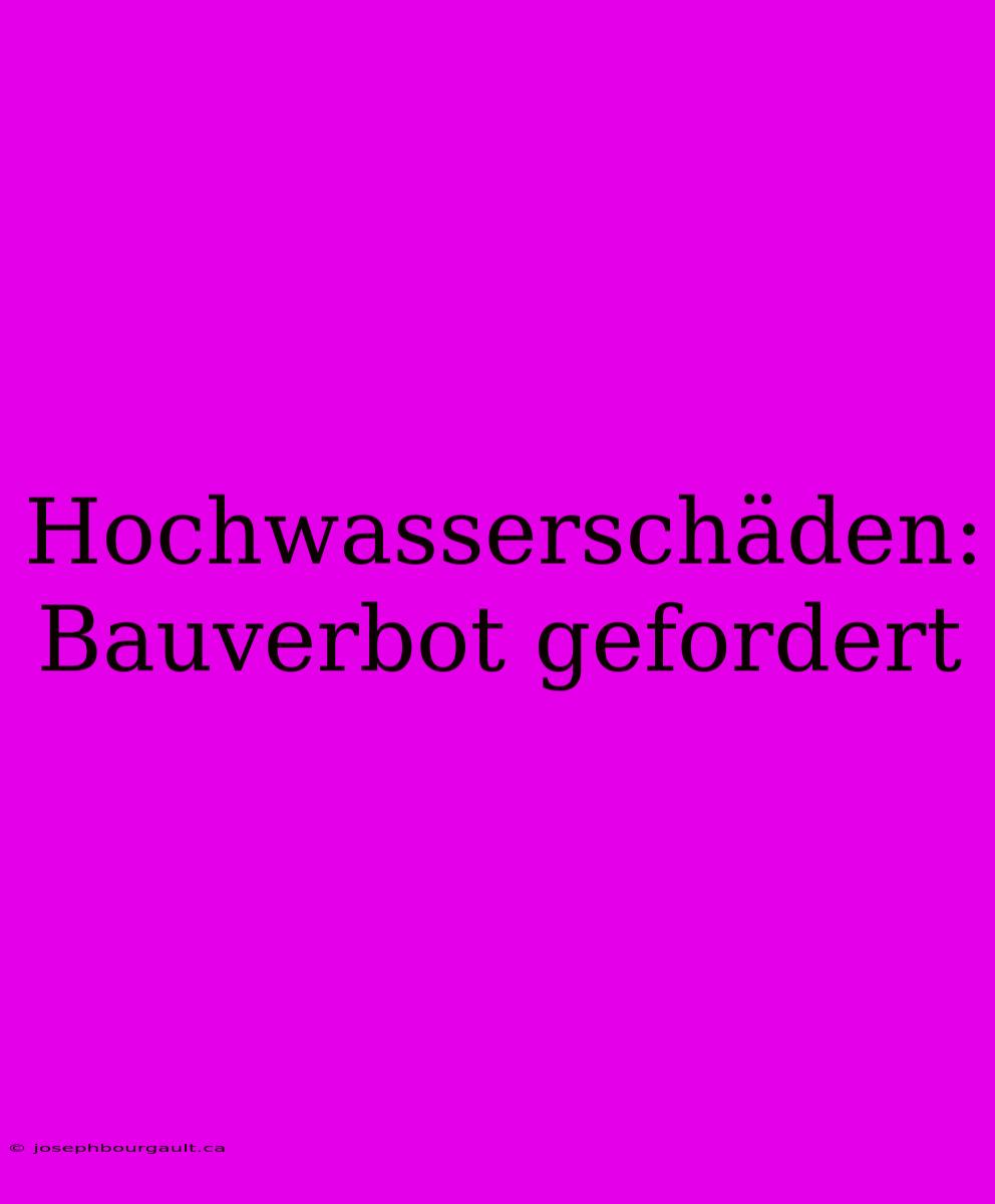 Hochwasserschäden: Bauverbot Gefordert