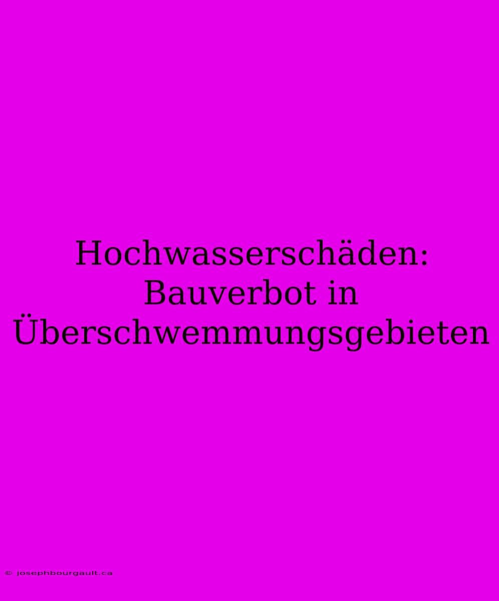 Hochwasserschäden: Bauverbot In Überschwemmungsgebieten