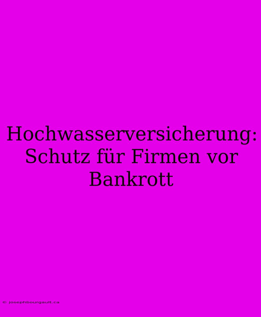 Hochwasserversicherung: Schutz Für Firmen Vor Bankrott