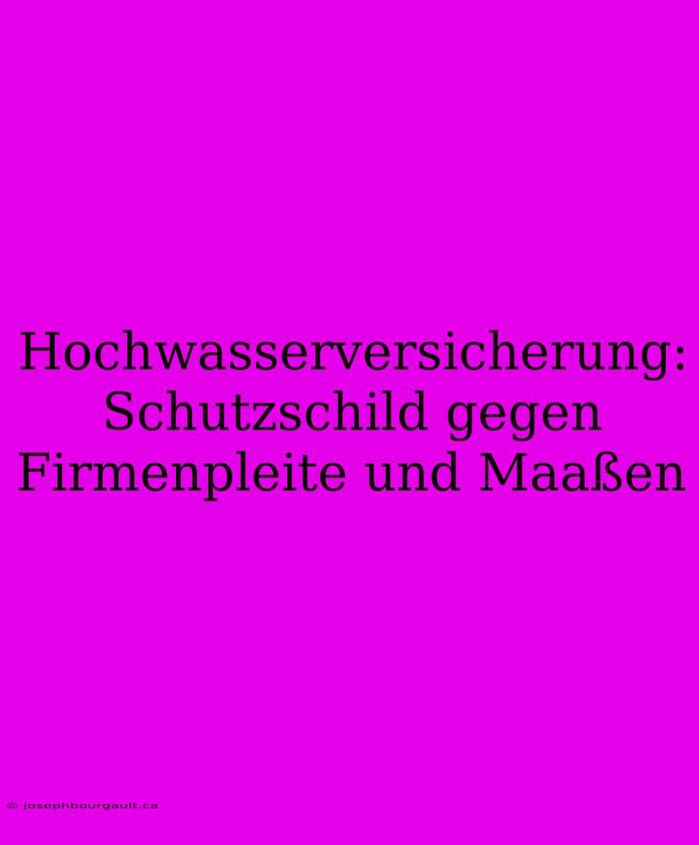 Hochwasserversicherung:  Schutzschild Gegen Firmenpleite Und Maaßen