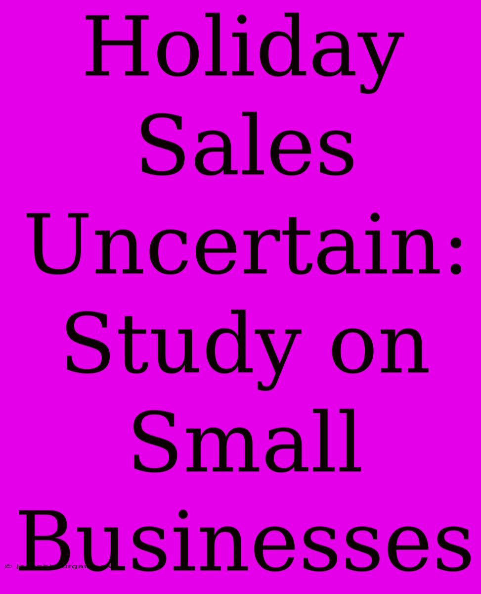 Holiday Sales Uncertain: Study On Small Businesses