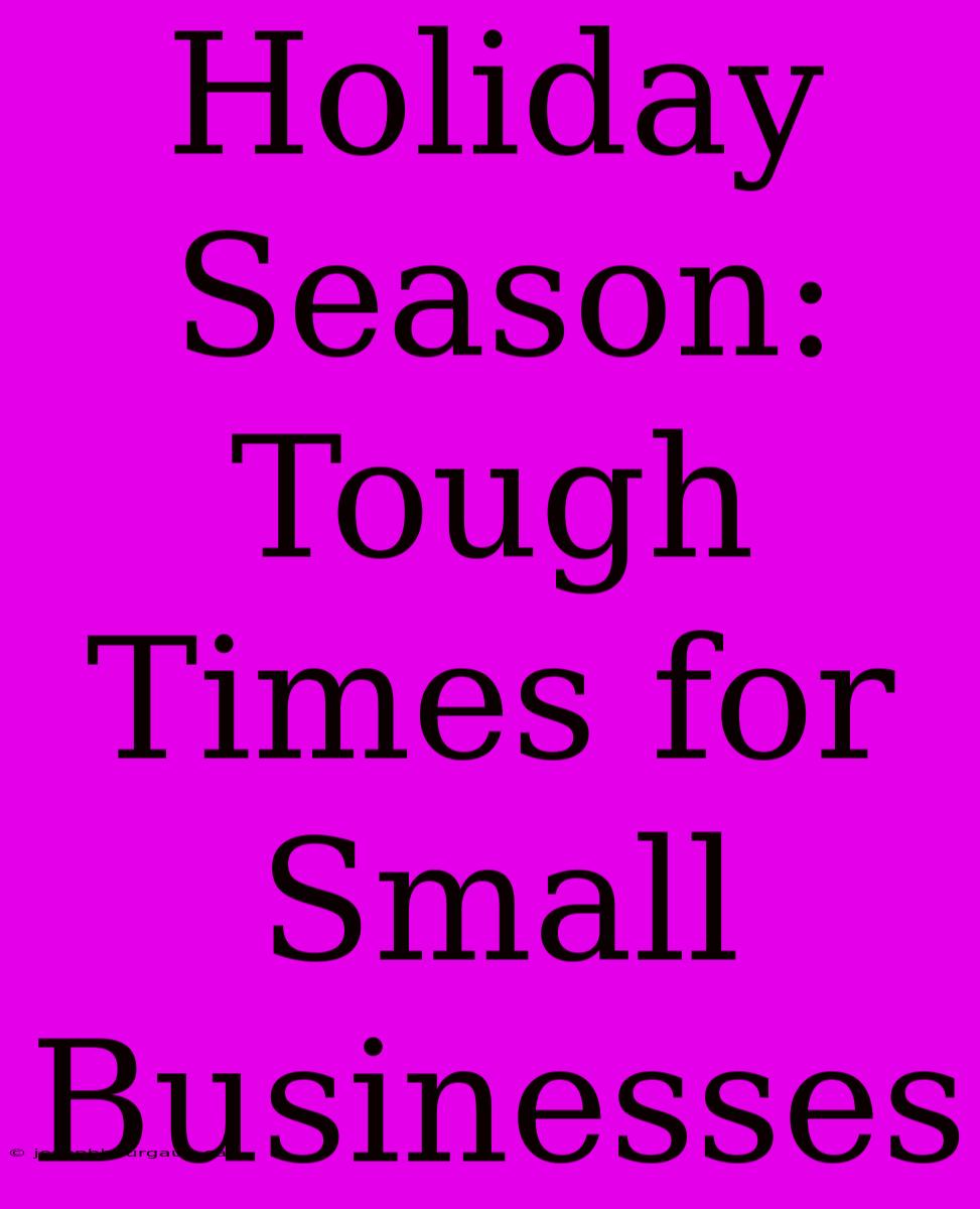 Holiday Season: Tough Times For Small Businesses