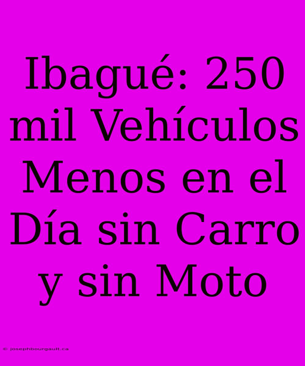 Ibagué: 250 Mil Vehículos Menos En El Día Sin Carro Y Sin Moto