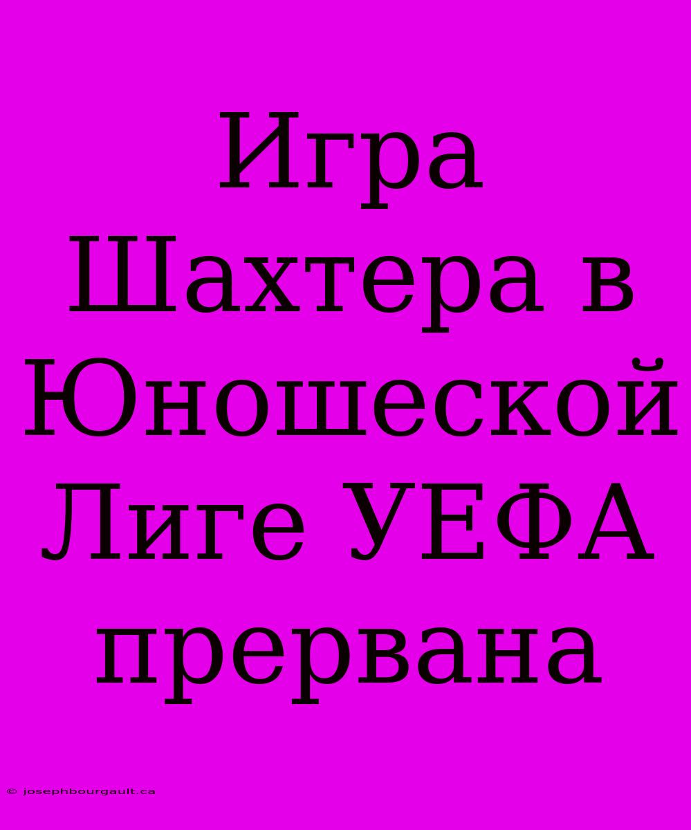 Игра Шахтера В Юношеской Лиге УЕФА Прервана