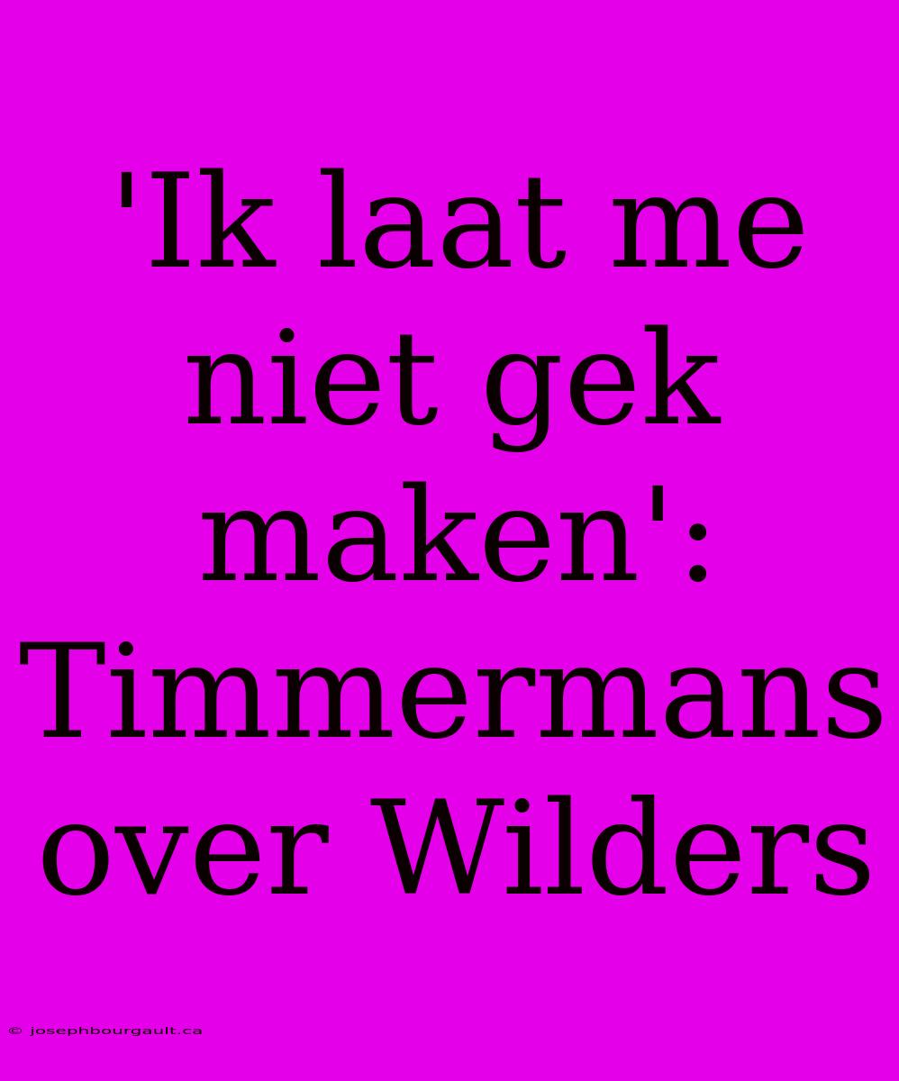 'Ik Laat Me Niet Gek Maken': Timmermans Over Wilders