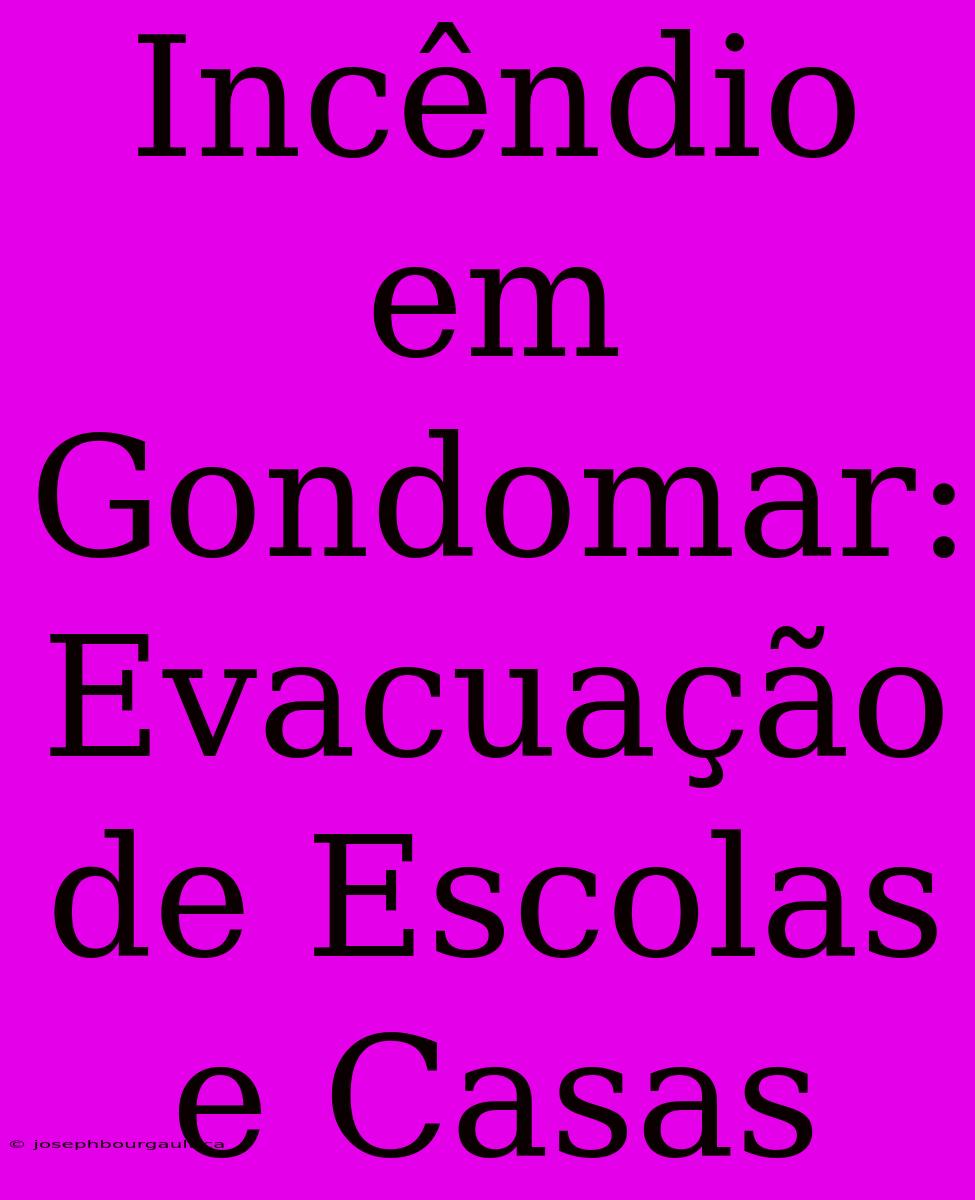 Incêndio Em Gondomar: Evacuação De Escolas E Casas