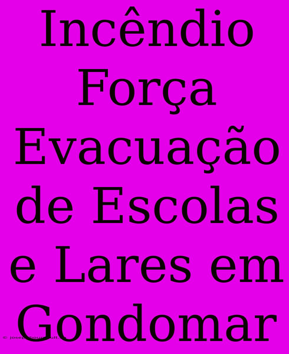 Incêndio Força Evacuação De Escolas E Lares Em Gondomar