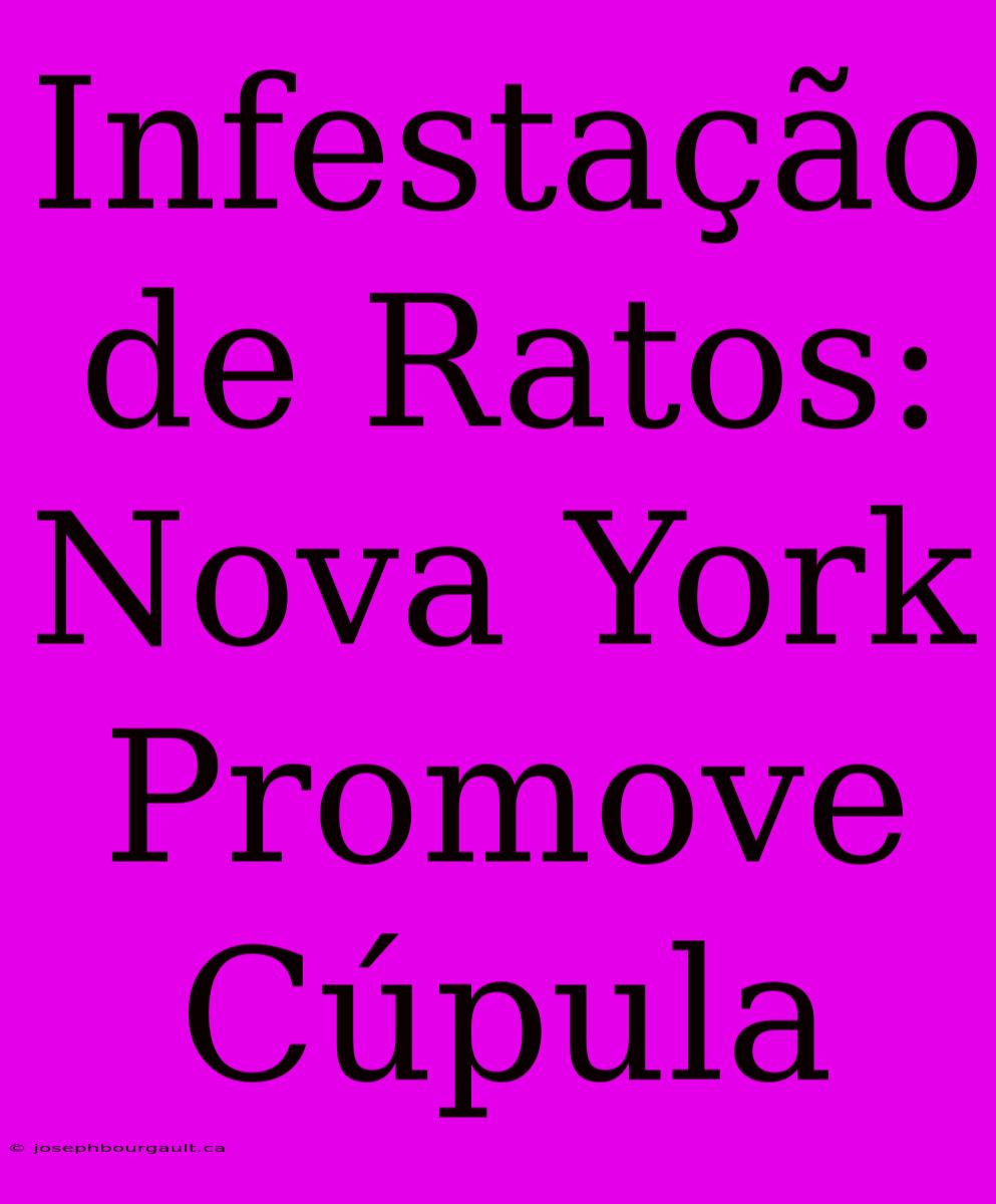 Infestação De Ratos: Nova York Promove Cúpula