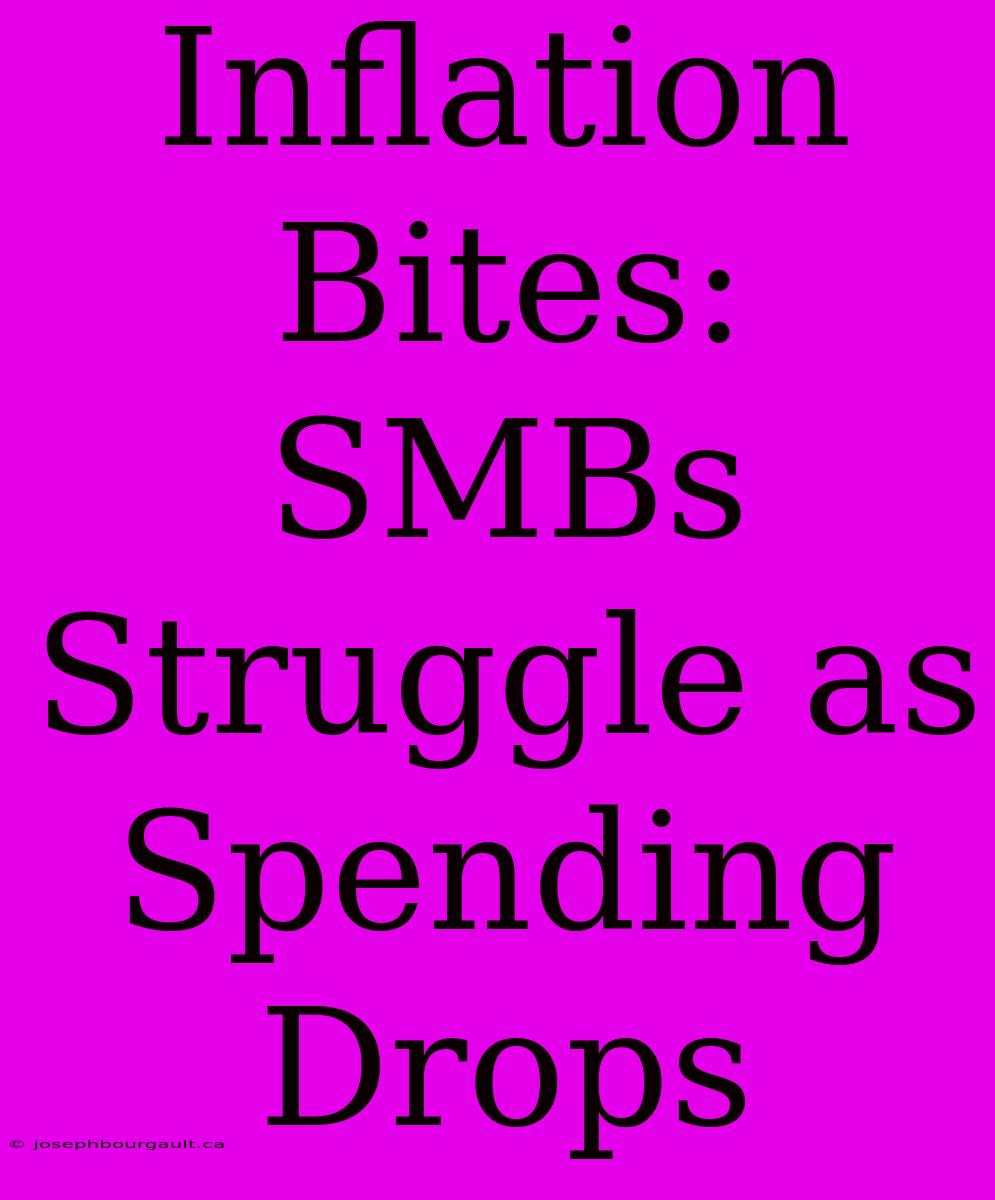 Inflation Bites: SMBs Struggle As Spending Drops