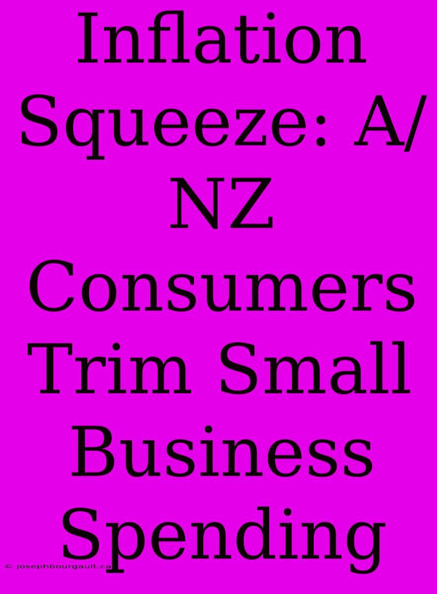 Inflation Squeeze: A/NZ Consumers Trim Small Business Spending