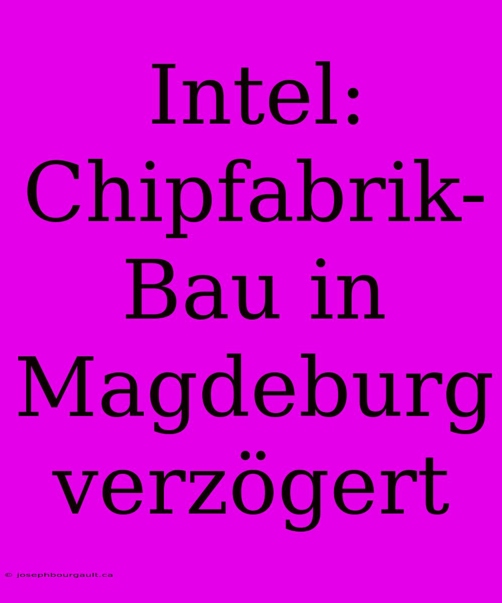 Intel: Chipfabrik-Bau In Magdeburg Verzögert