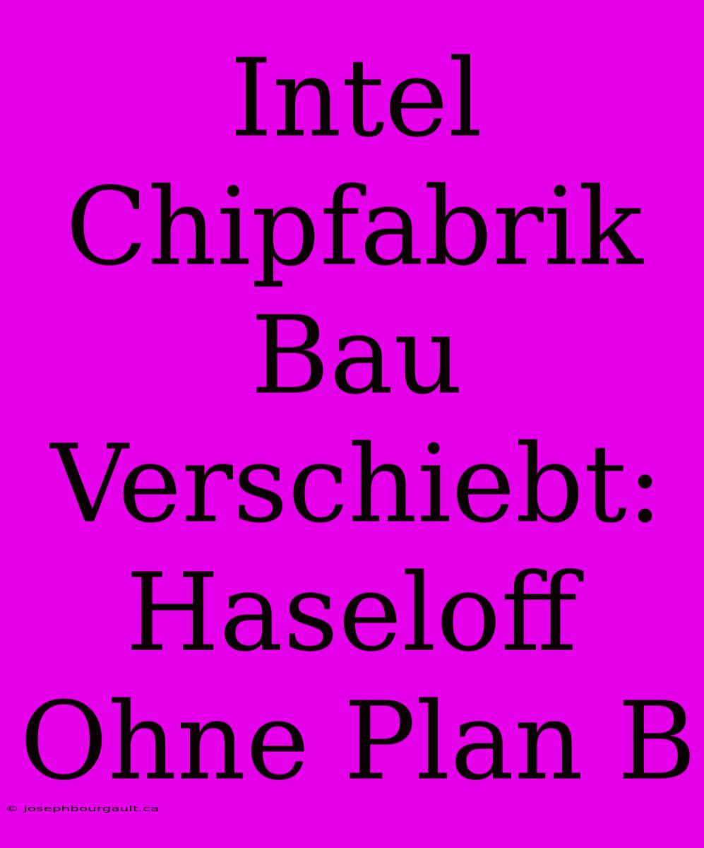 Intel Chipfabrik Bau Verschiebt: Haseloff Ohne Plan B