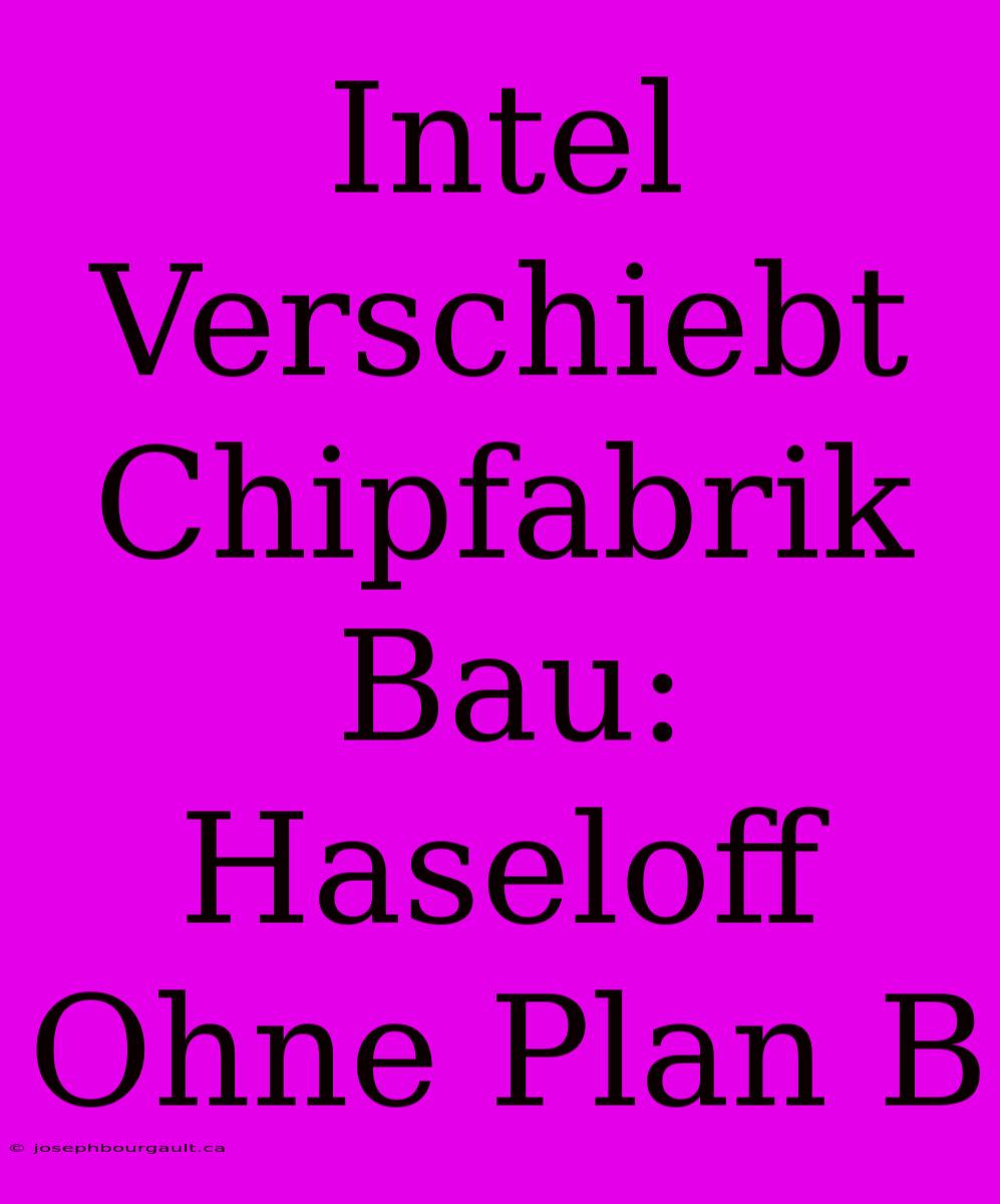 Intel Verschiebt Chipfabrik Bau: Haseloff Ohne Plan B