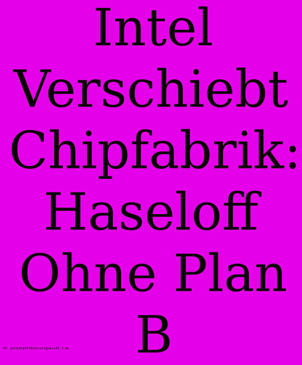 Intel Verschiebt Chipfabrik: Haseloff Ohne Plan B