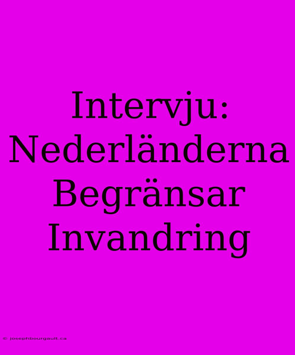 Intervju: Nederländerna Begränsar Invandring