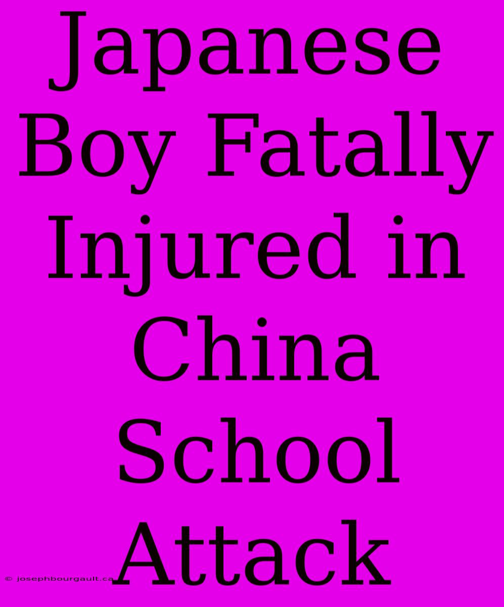 Japanese Boy Fatally Injured In China School Attack