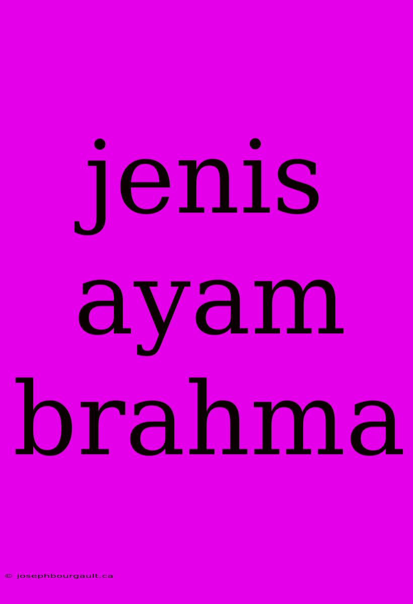 Jenis Ayam Brahma