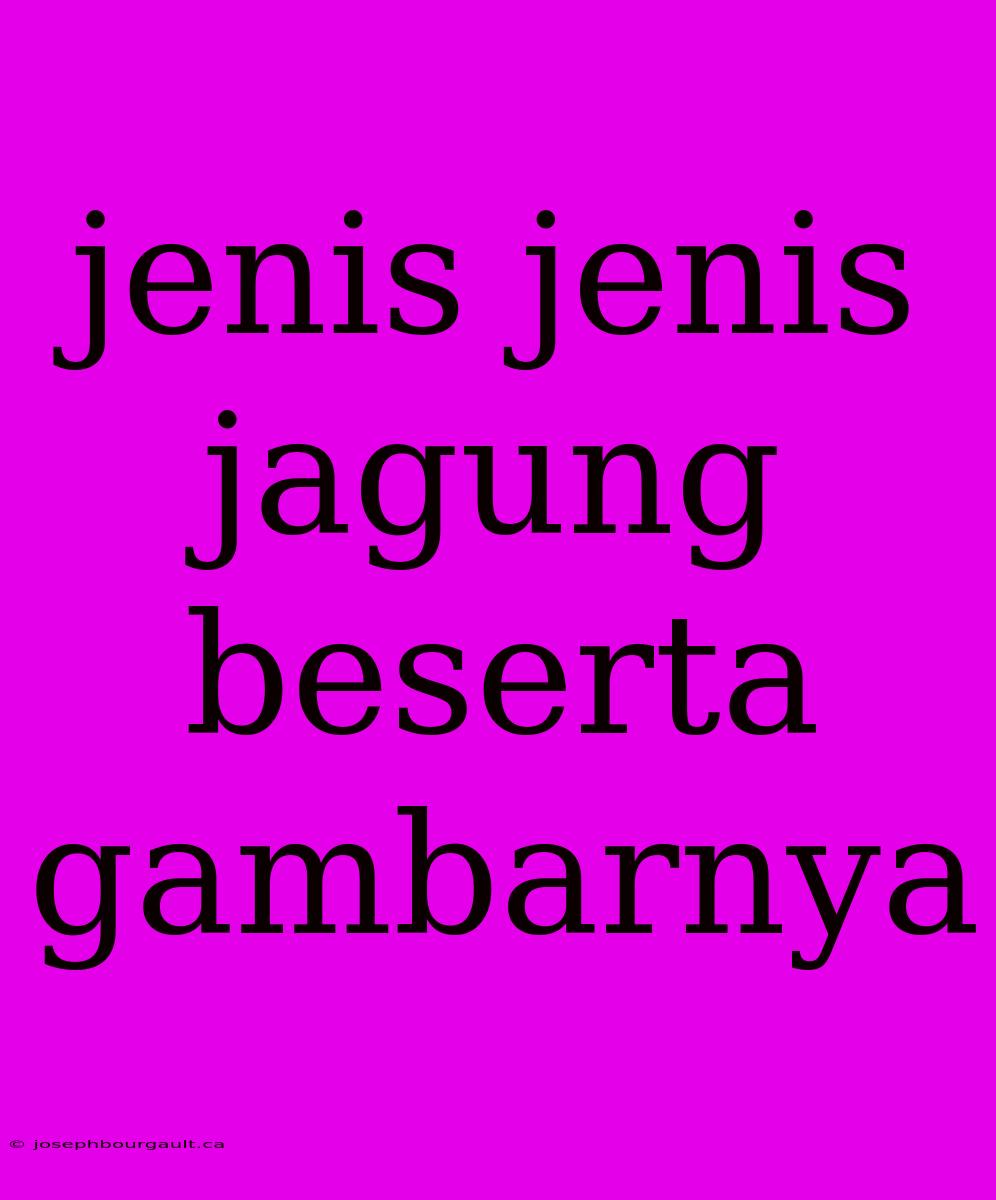 Jenis Jenis Jagung Beserta Gambarnya