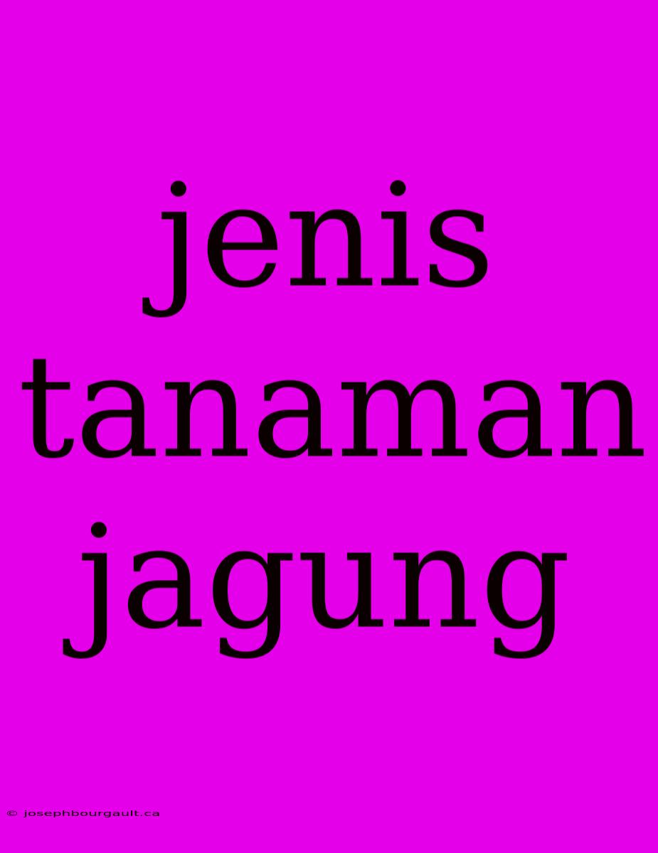 Jenis Tanaman Jagung