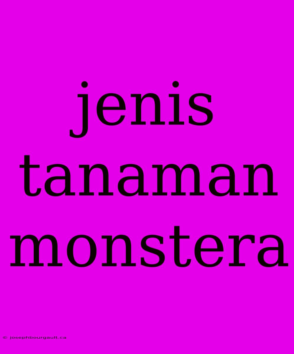 Jenis Tanaman Monstera