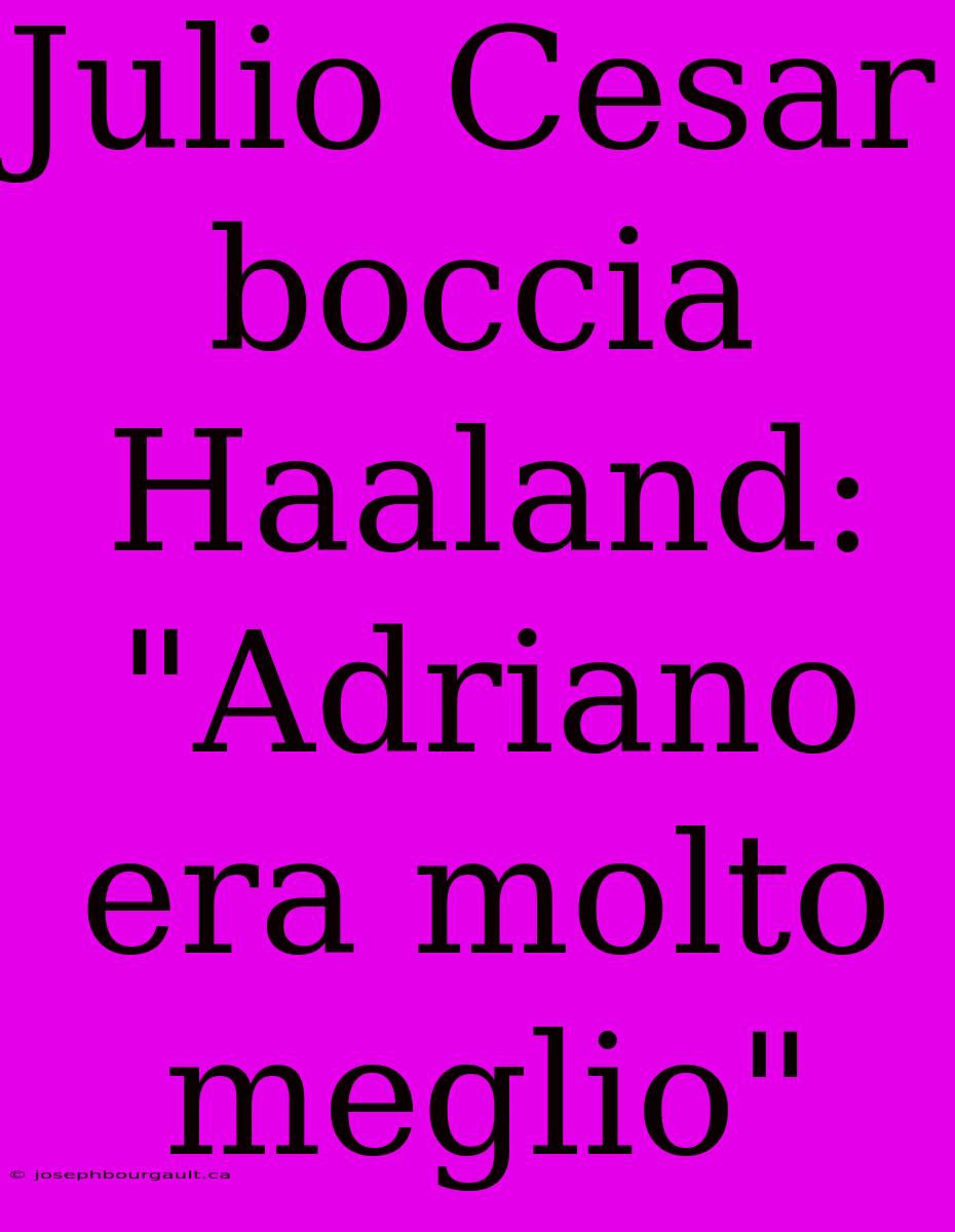 Julio Cesar Boccia Haaland: 