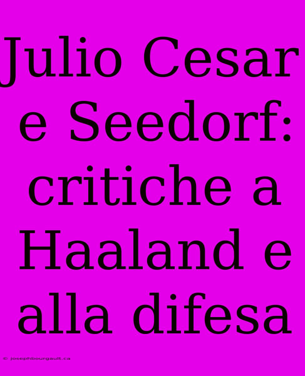 Julio Cesar E Seedorf: Critiche A Haaland E Alla Difesa