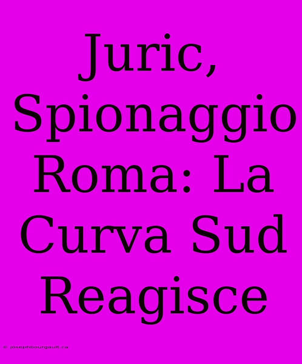 Juric, Spionaggio Roma: La Curva Sud Reagisce