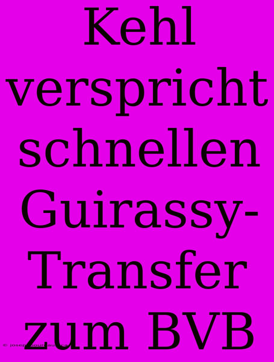 Kehl Verspricht Schnellen Guirassy-Transfer Zum BVB