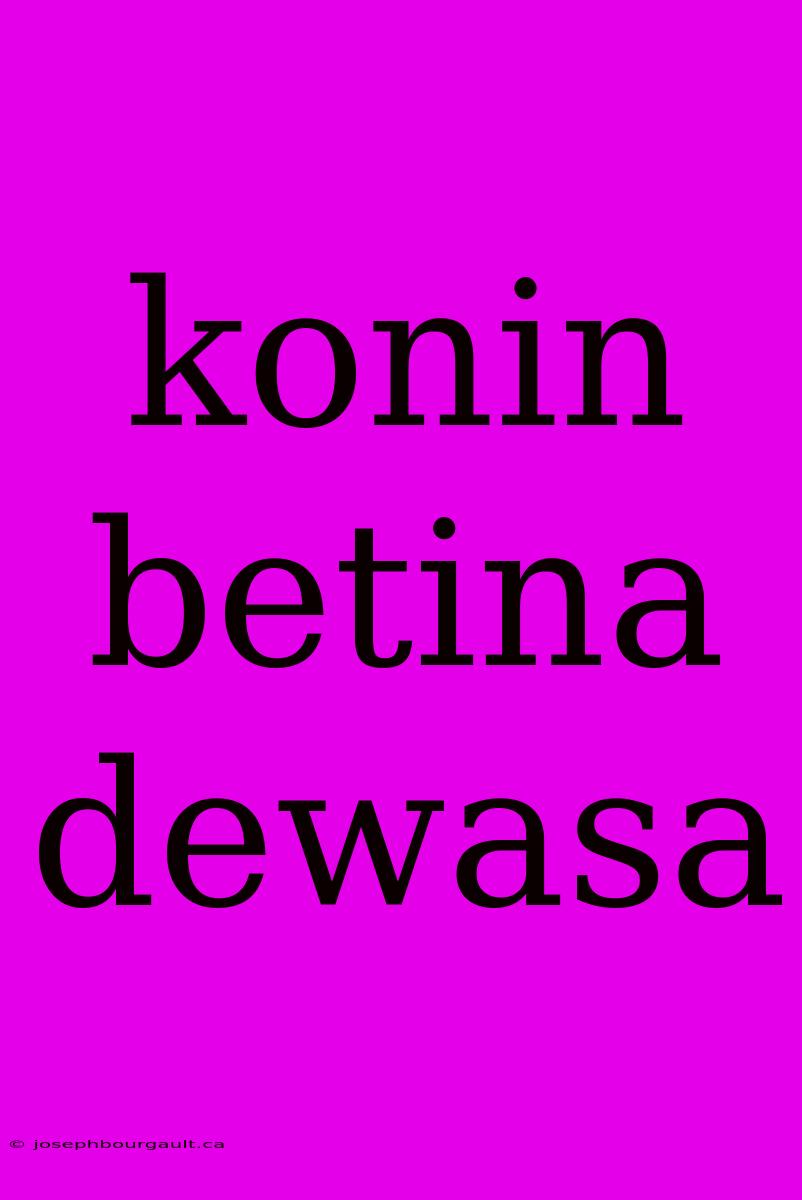 Konin Betina Dewasa