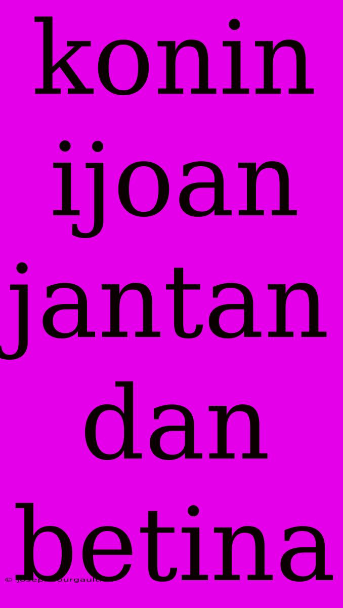 Konin Ijoan Jantan Dan Betina