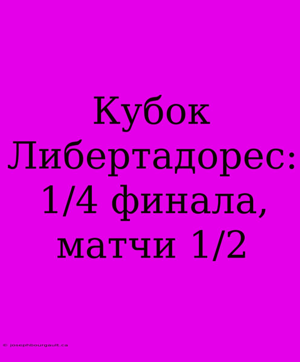 Кубок Либертадорес: 1/4 Финала, Матчи 1/2