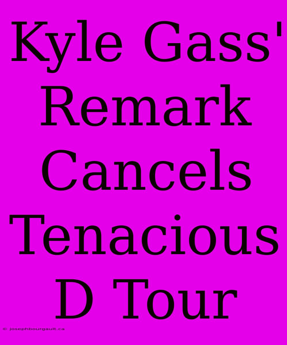 Kyle Gass' Remark Cancels Tenacious D Tour