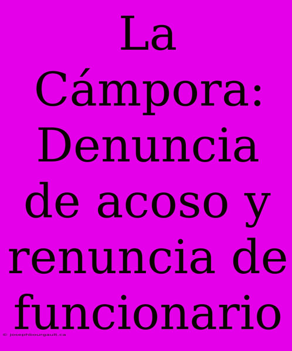 La Cámpora: Denuncia De Acoso Y Renuncia De Funcionario