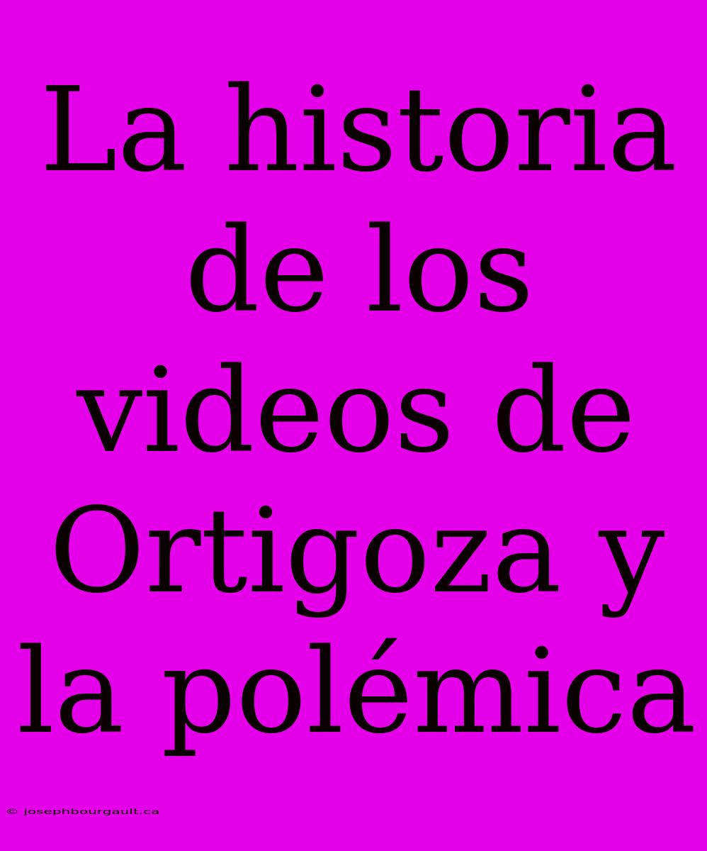 La Historia De Los Videos De Ortigoza Y La Polémica