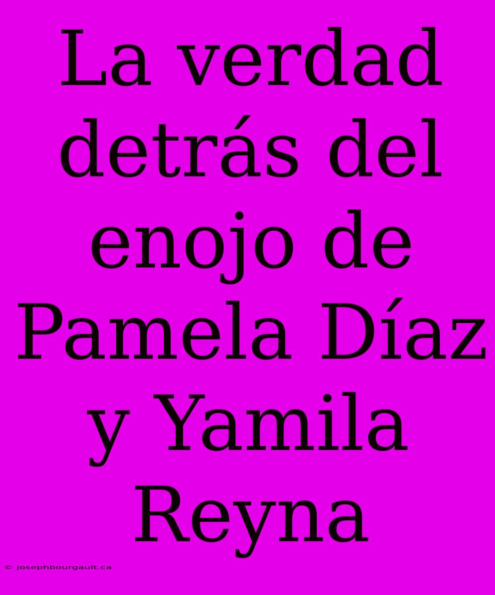 La Verdad Detrás Del Enojo De Pamela Díaz Y Yamila Reyna