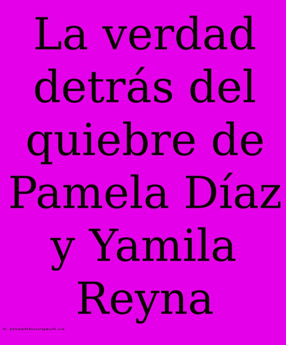 La Verdad Detrás Del Quiebre De Pamela Díaz Y Yamila Reyna