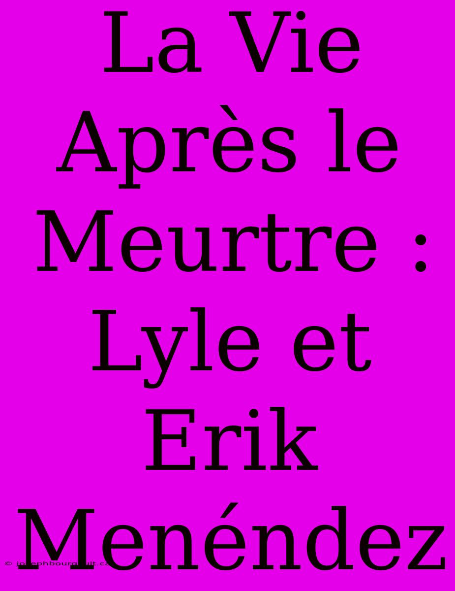 La Vie Après Le Meurtre : Lyle Et Erik Menéndez