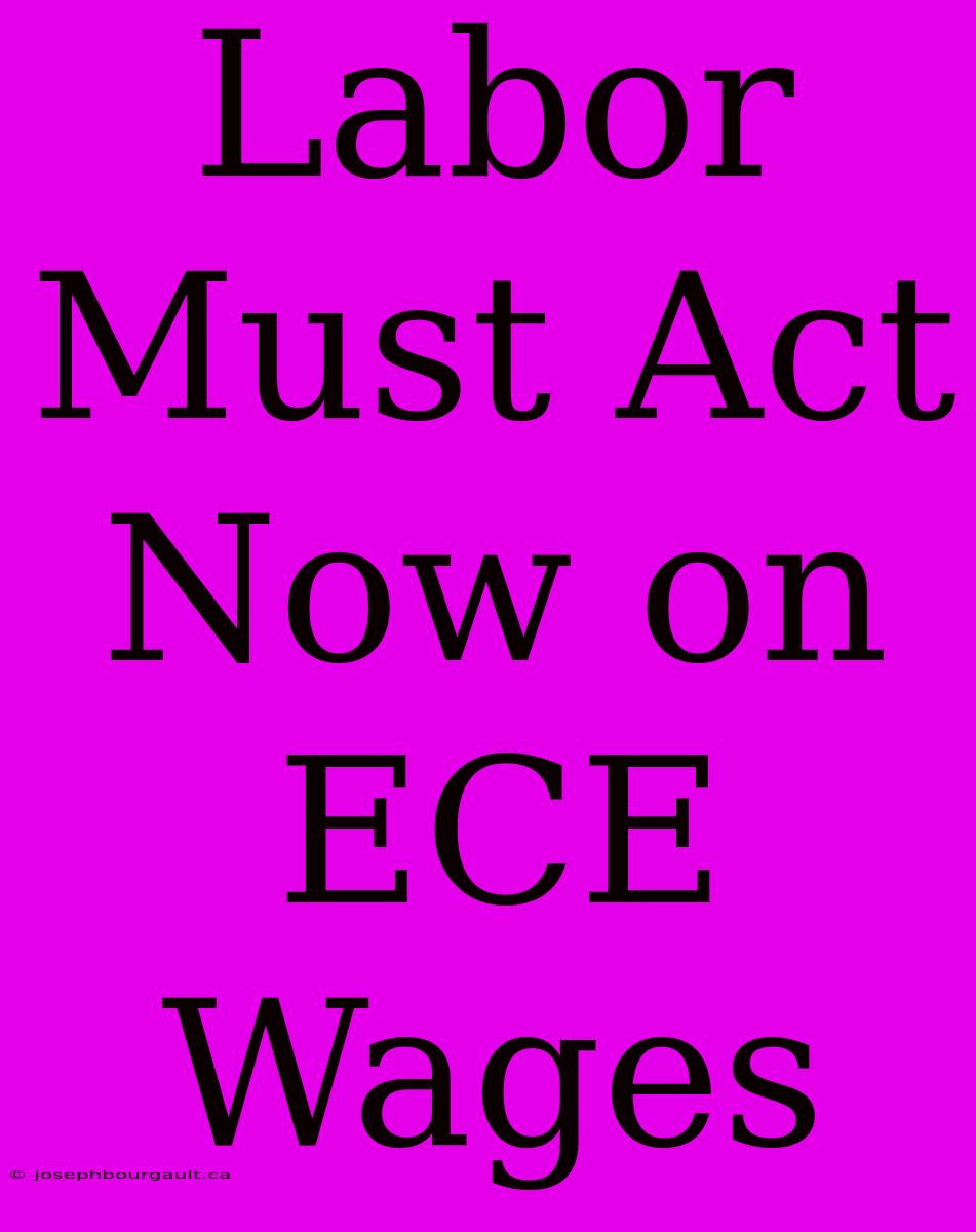 Labor Must Act Now On ECE Wages