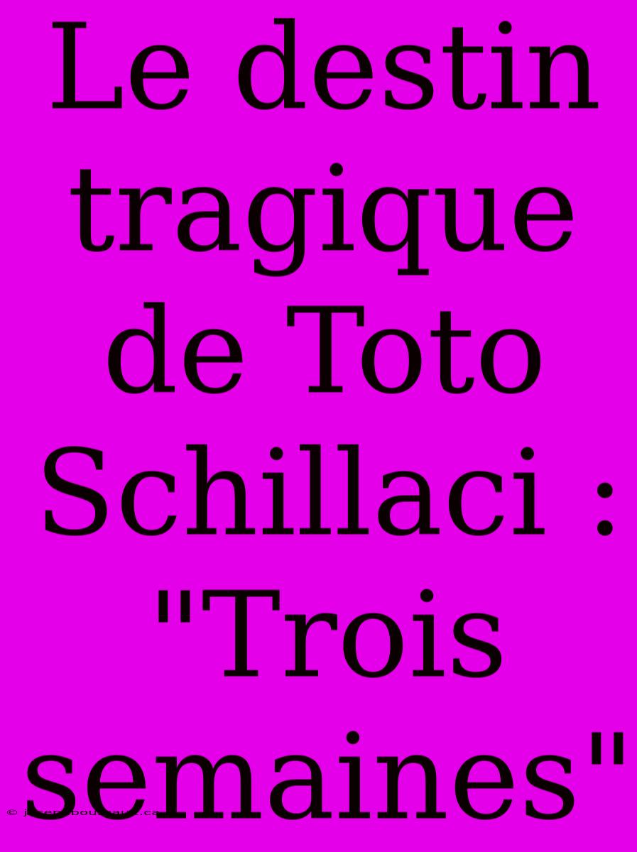 Le Destin Tragique De Toto Schillaci : 