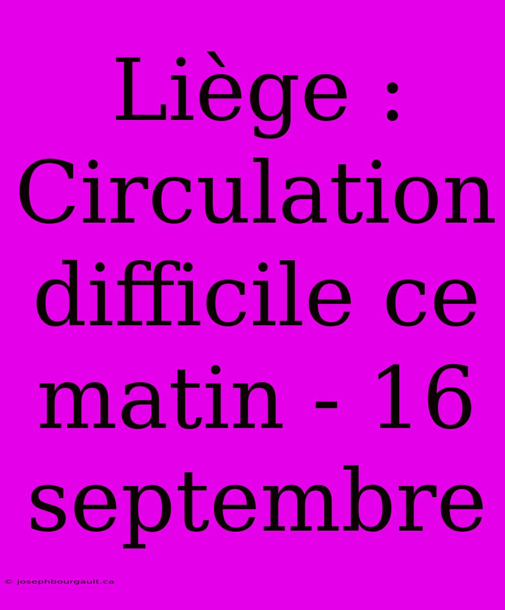 Liège : Circulation Difficile Ce Matin - 16 Septembre