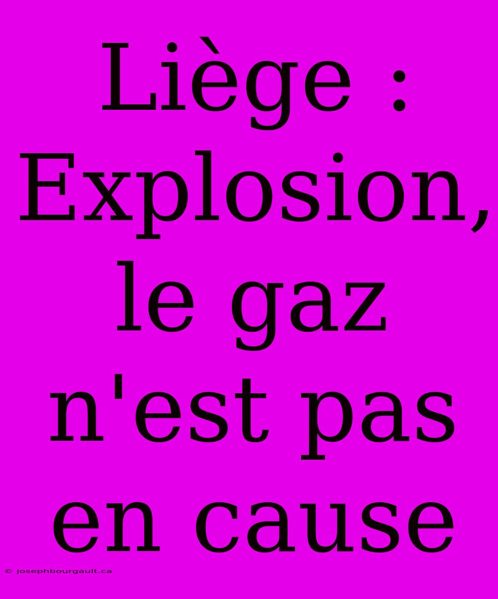 Liège : Explosion, Le Gaz N'est Pas En Cause