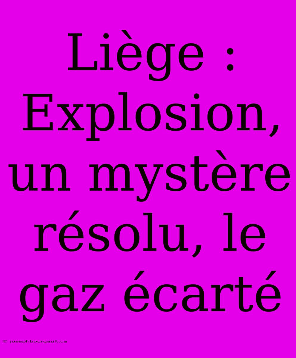 Liège : Explosion, Un Mystère Résolu, Le Gaz Écarté