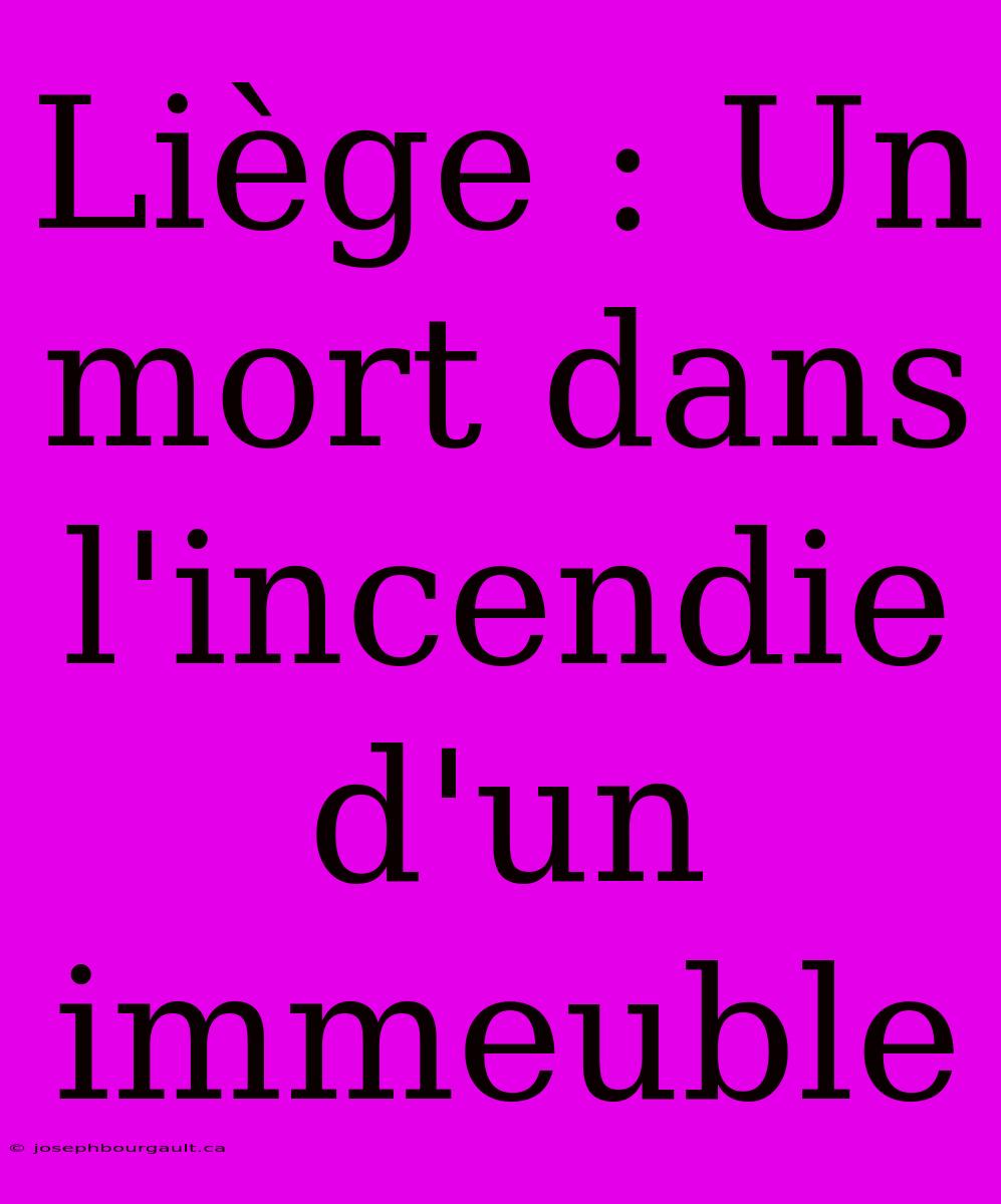 Liège : Un Mort Dans L'incendie D'un Immeuble