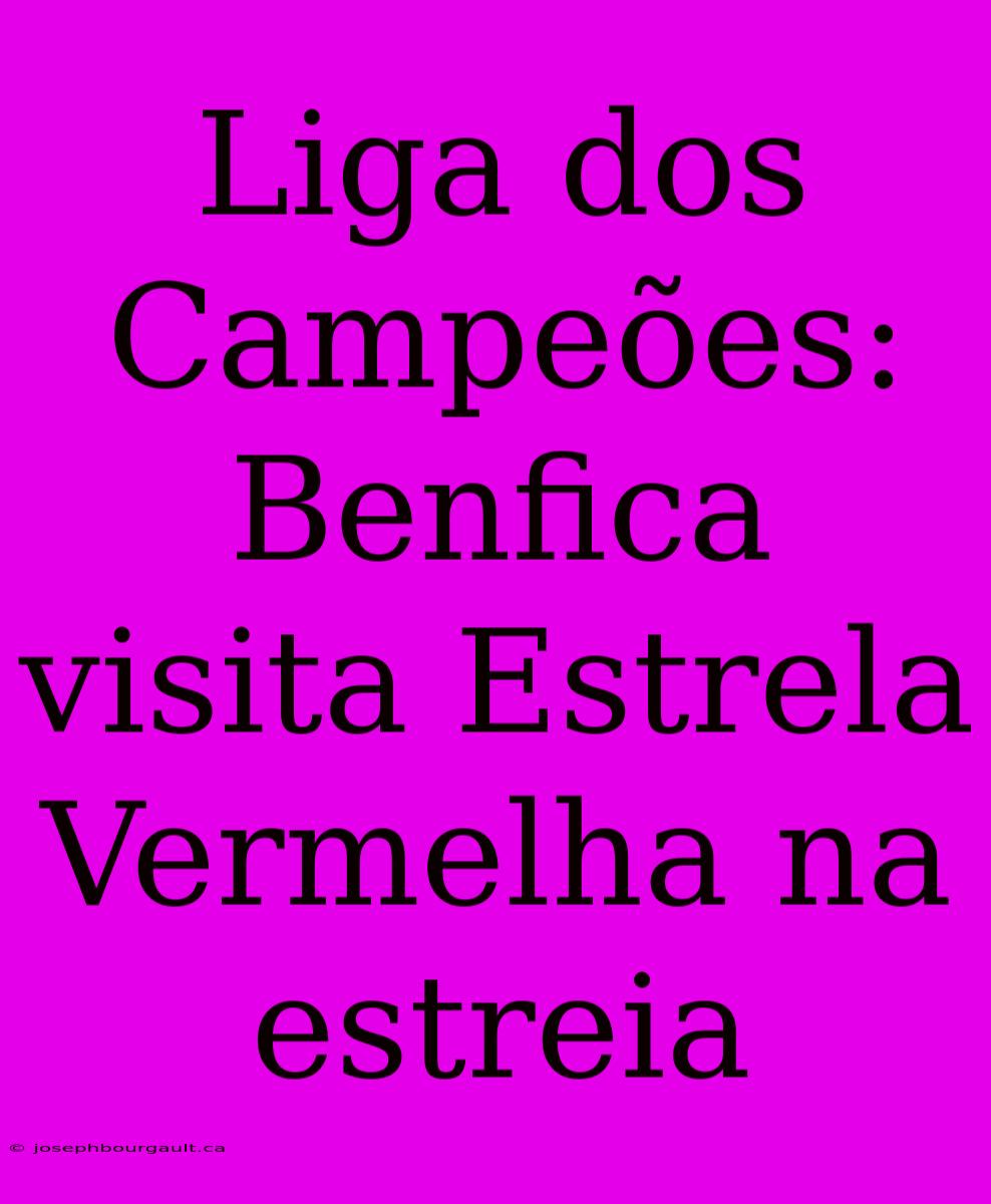 Liga Dos Campeões: Benfica Visita Estrela Vermelha Na Estreia