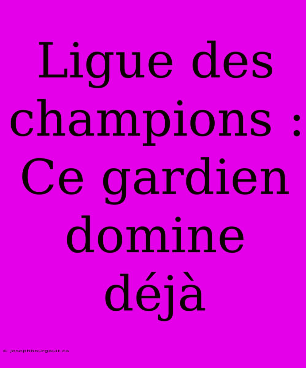 Ligue Des Champions : Ce Gardien Domine Déjà