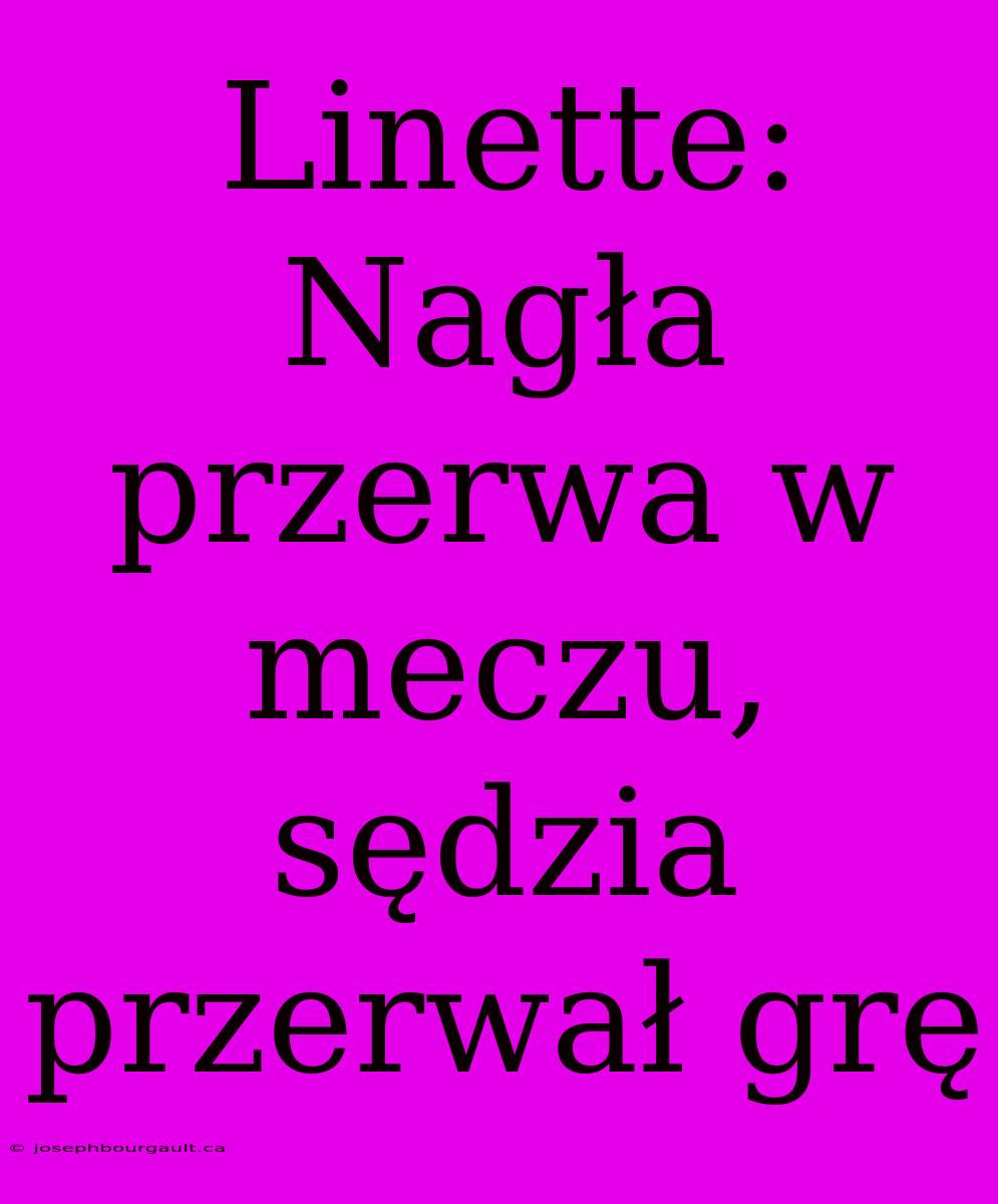 Linette: Nagła Przerwa W Meczu, Sędzia Przerwał Grę