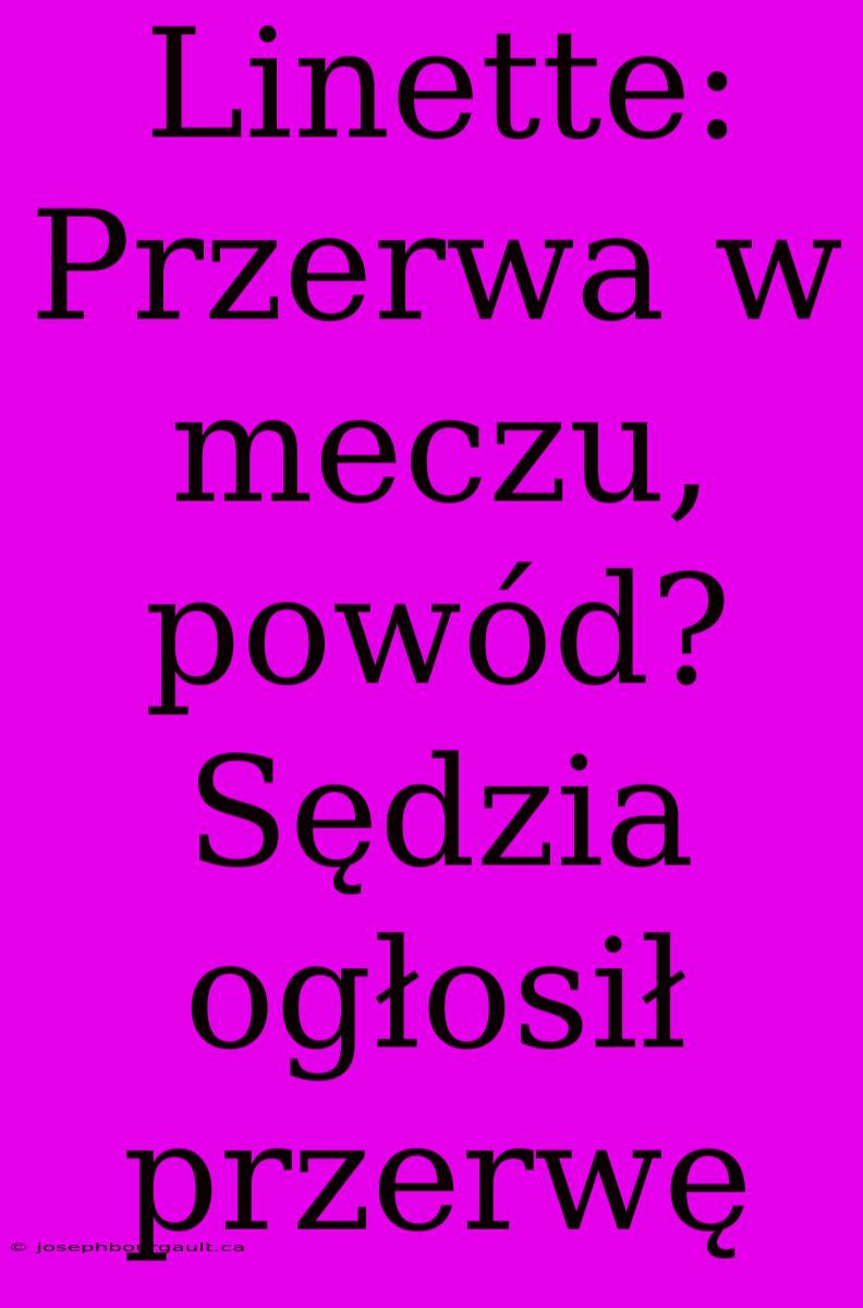 Linette: Przerwa W Meczu, Powód? Sędzia Ogłosił Przerwę