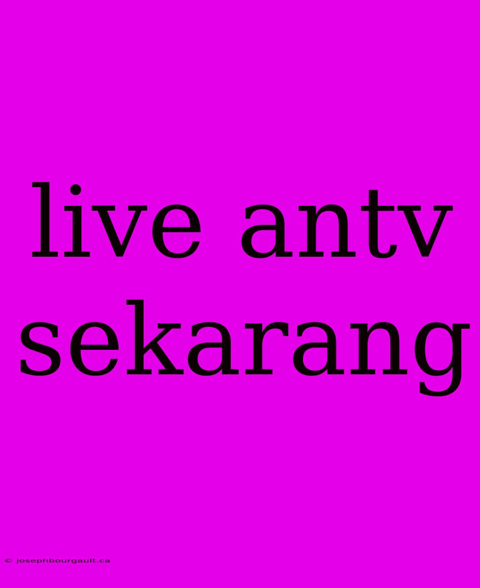 Live Antv Sekarang