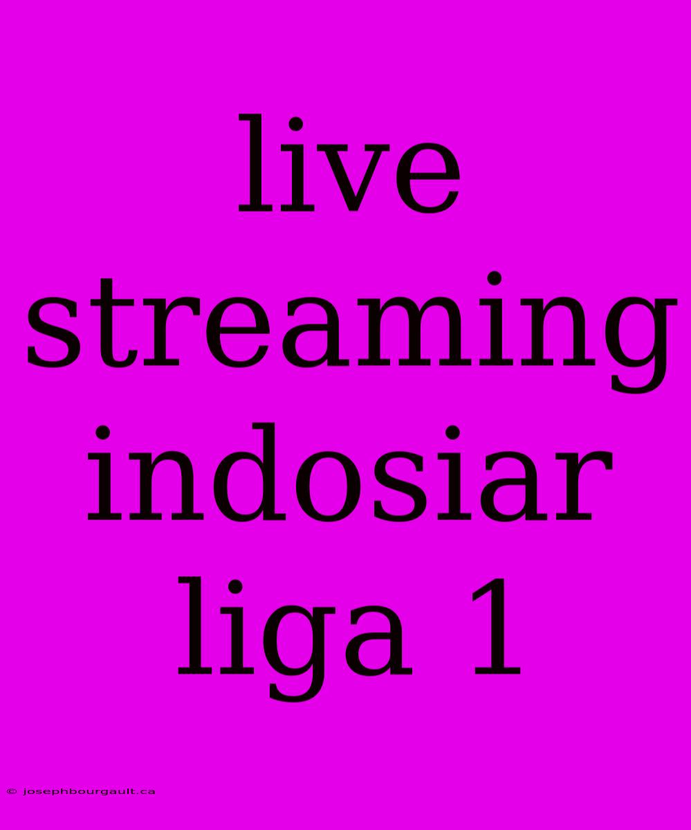 Live Streaming Indosiar Liga 1